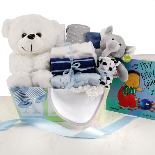 Baby ABC's: Boy Baby Shower Gift Basket